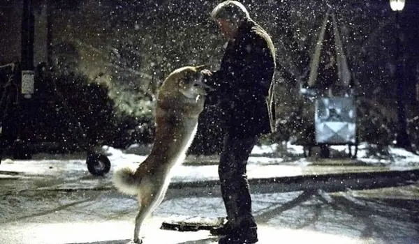 Hachiko siempre a tu lado