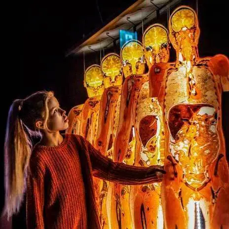 body worlds el ritmo de la vida