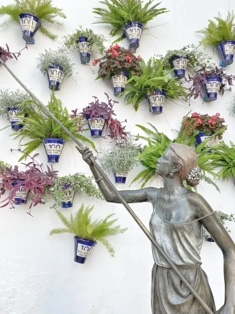 El aroma de los patios de cordoba