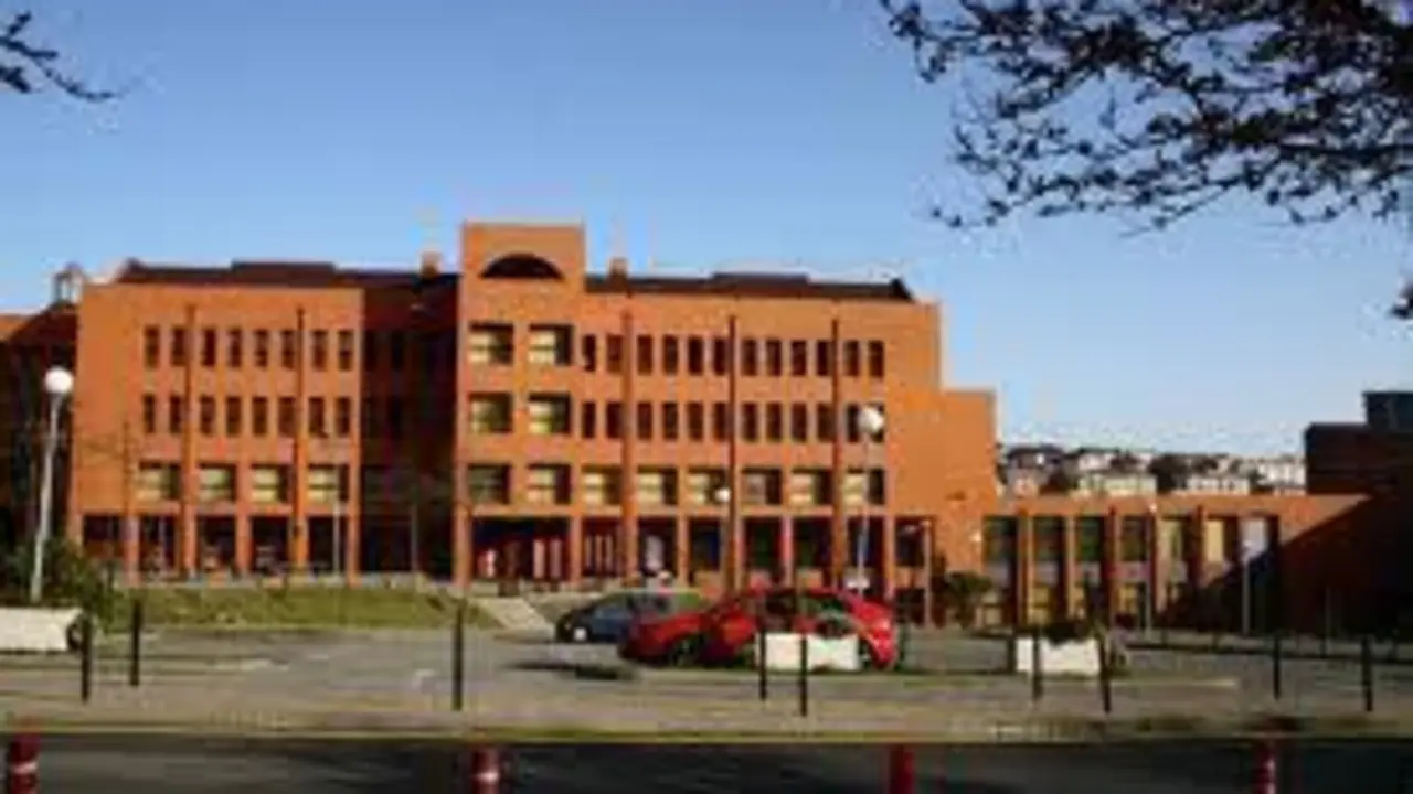 interfacultativo2