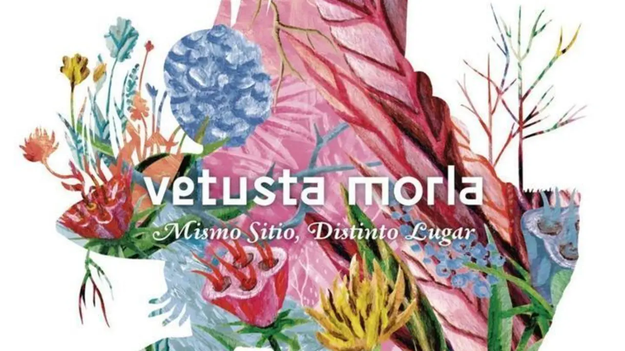 Mismo Sitio, Distinto Lugar de Vetusta Morla Disco de Platino en Espa&ntilde;a