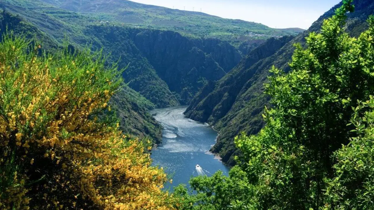 Ribeira Sacra