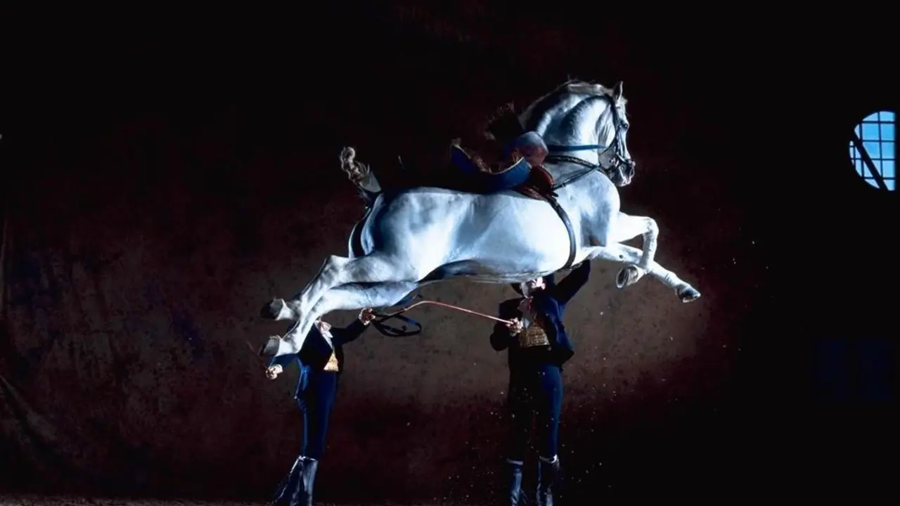 como bailan los caballos andaluces