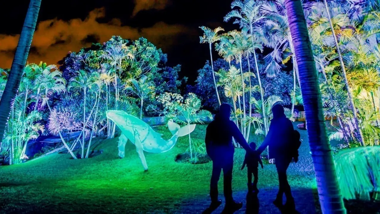 naturaleza encendida en valencia