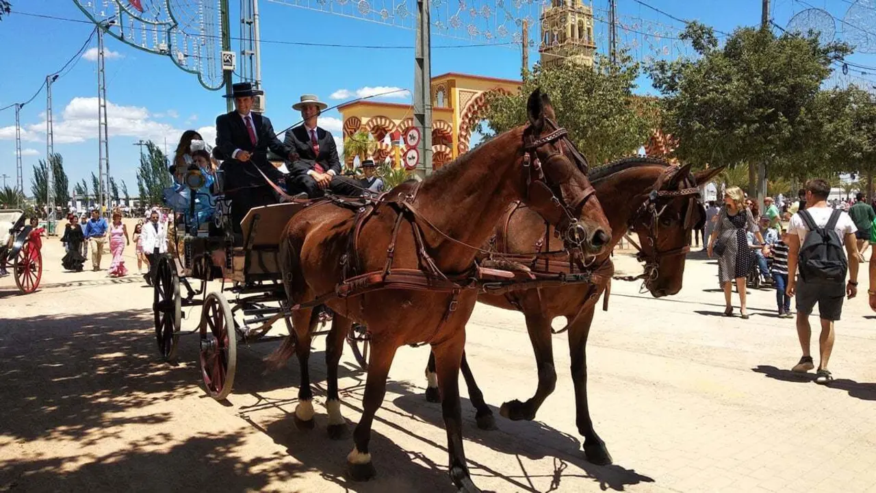 calesa feria de cordoba
