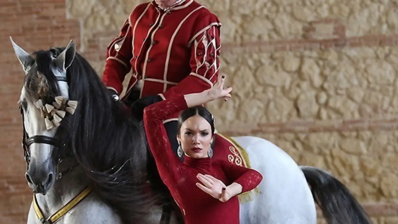 cordoba ecuestre pasion y duende del caballo andaluz