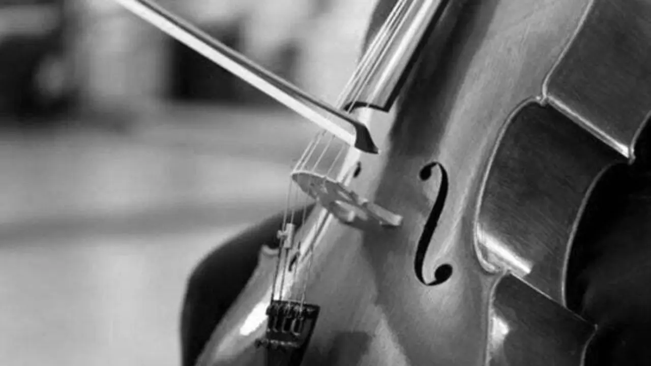 violonchelista Mon Pou