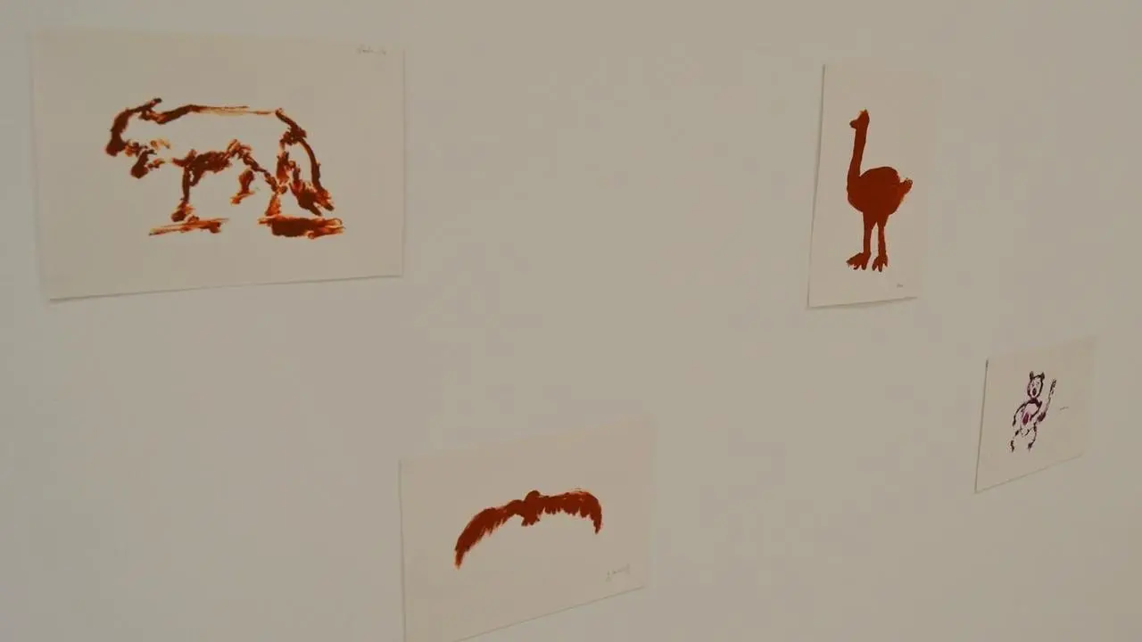 Exposici&oacute;n Bellas Artes