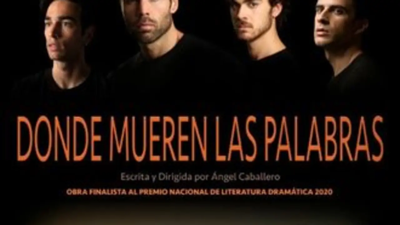 donde mueren las palabras