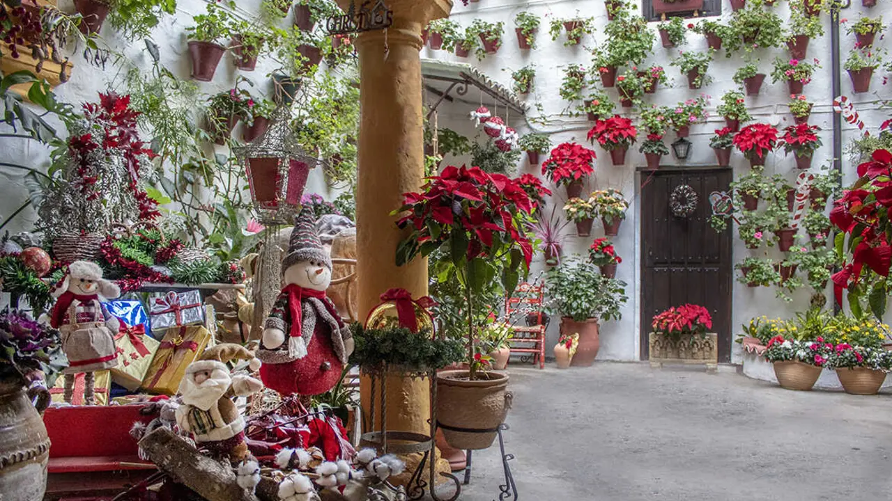 Los Patios de C&oacute;rdoba en Navidad 2026