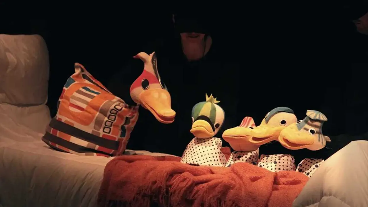 Pato Feo santander