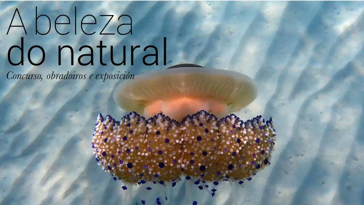 Exposici&oacute;n fotogr&aacute;fica 'A beleza do natural'