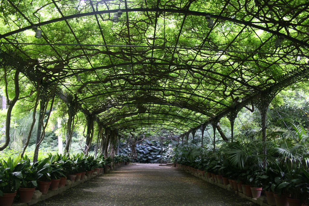 JardinBotanicolaConcepcion1 1