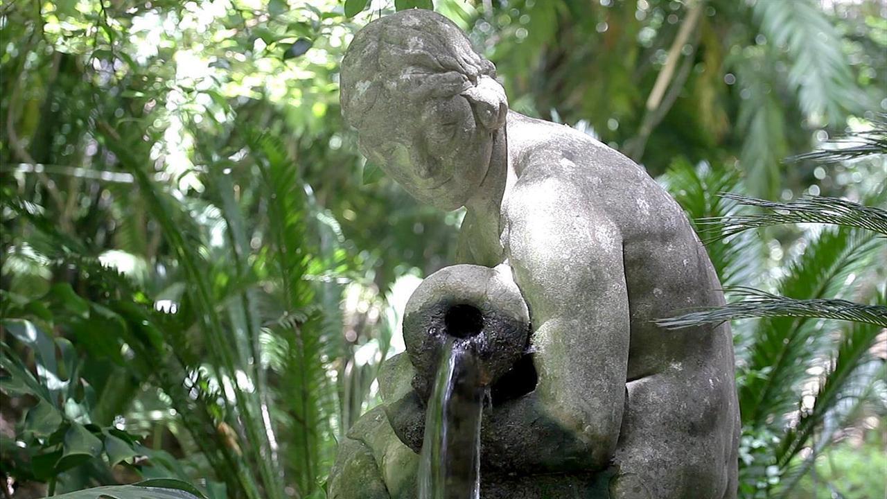 Ninfa