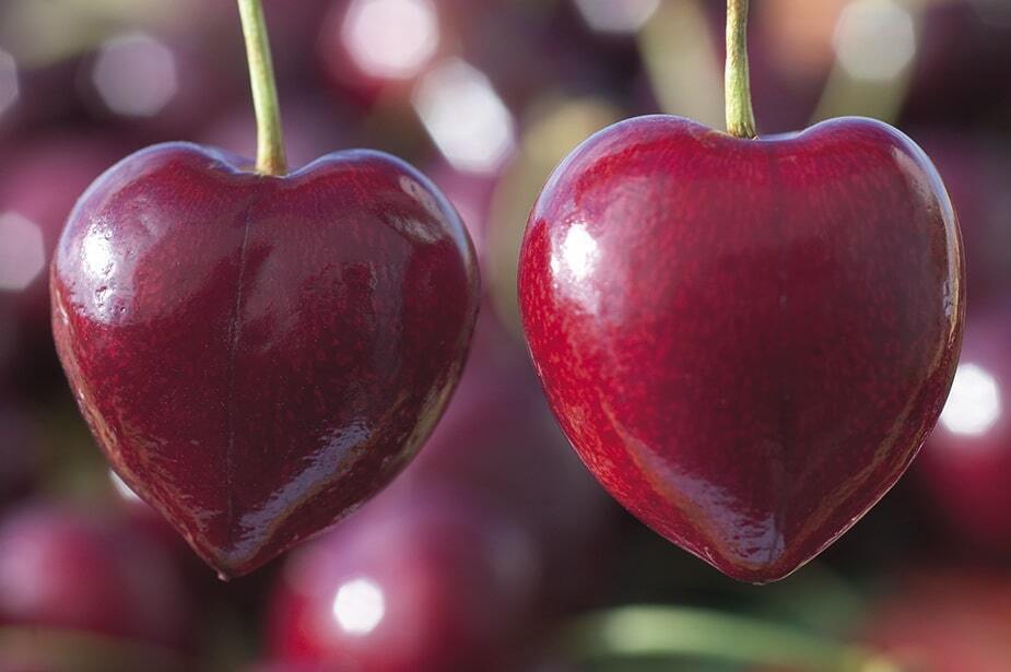 CEREZAS min