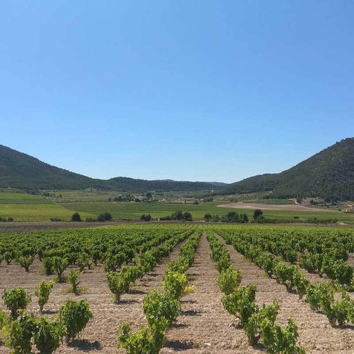 Valle de Aceniche