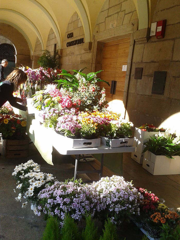 Mercado de las flores en Viana