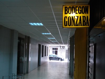 gonzaba4