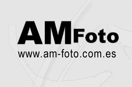 logo amfoto2