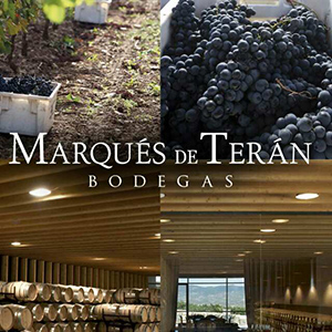 Cata de vinos de Marqués de Terán