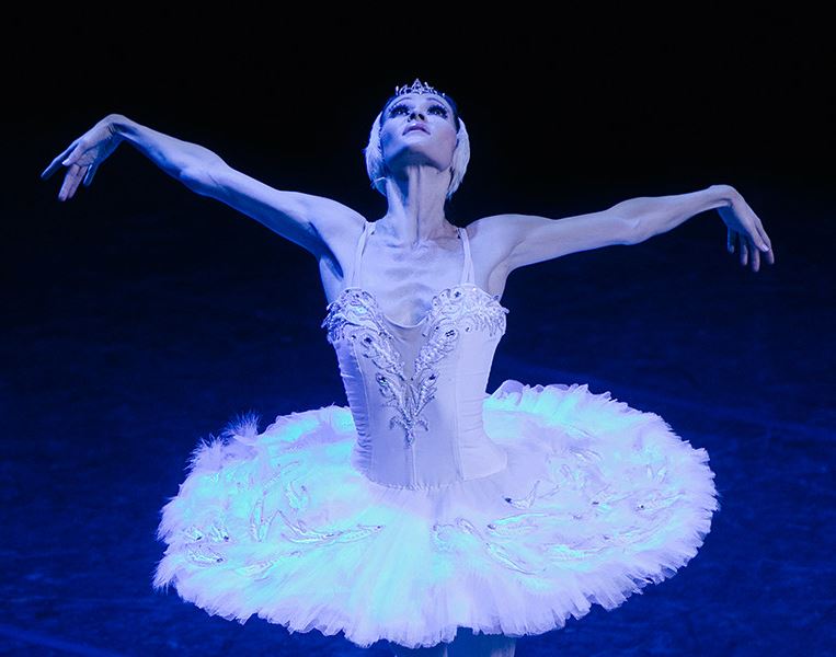 El lago de los cisnes, la obra maestra de danza clásica llega A Coruña