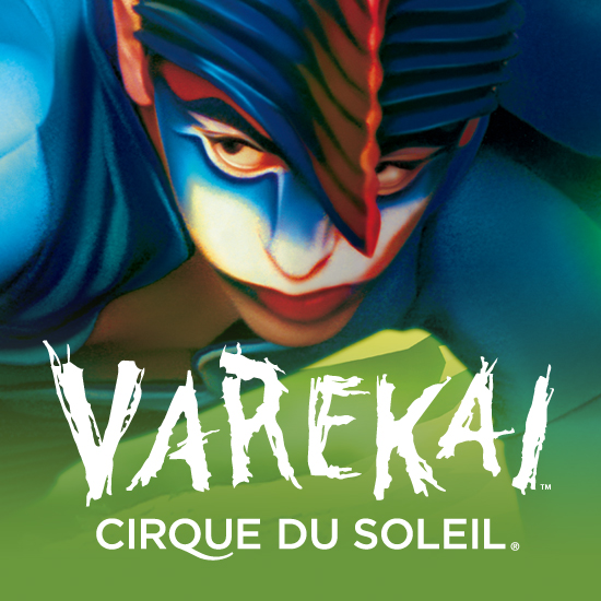 Espectáculo Varekai de Cirque Du Solei en Vitoria
