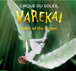 Varekai by Cirque du Soleil en Santander
