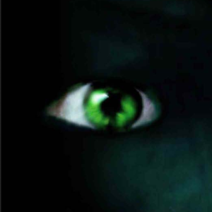 `Green Eyed Monster´ en el Teatro Calderón