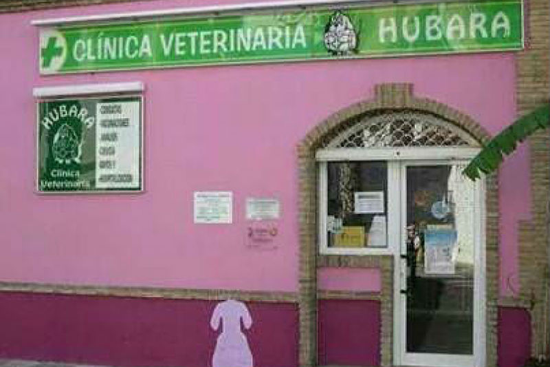 clinica hubara