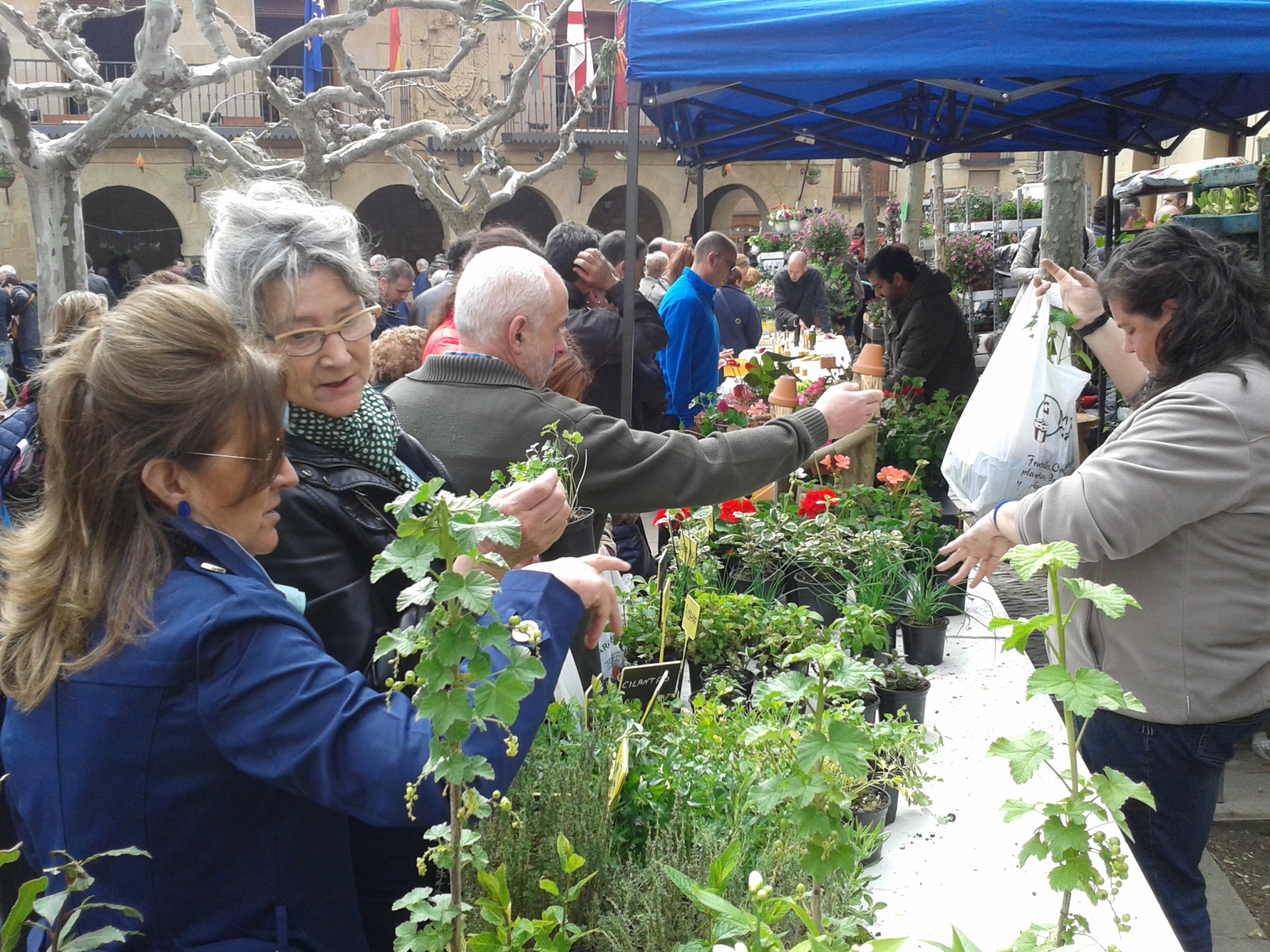 Mercado de la flor y de la huerta en Elciego