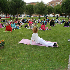 Programa del Día Internacional del Yoga