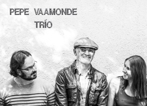 Pepe Vaamonde trío concierto en A Guarda