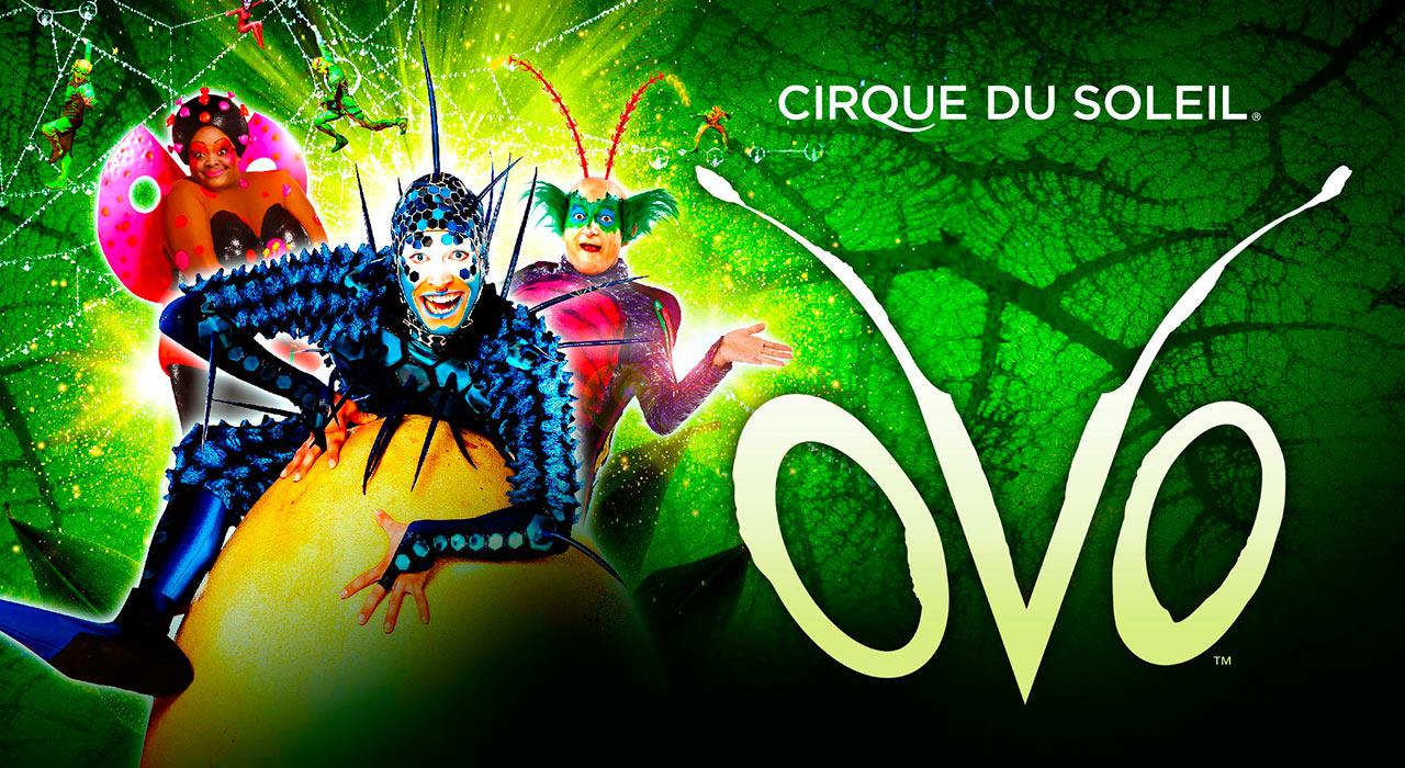 ‘OVO’ de Cirque du Soleil llega a Murcia