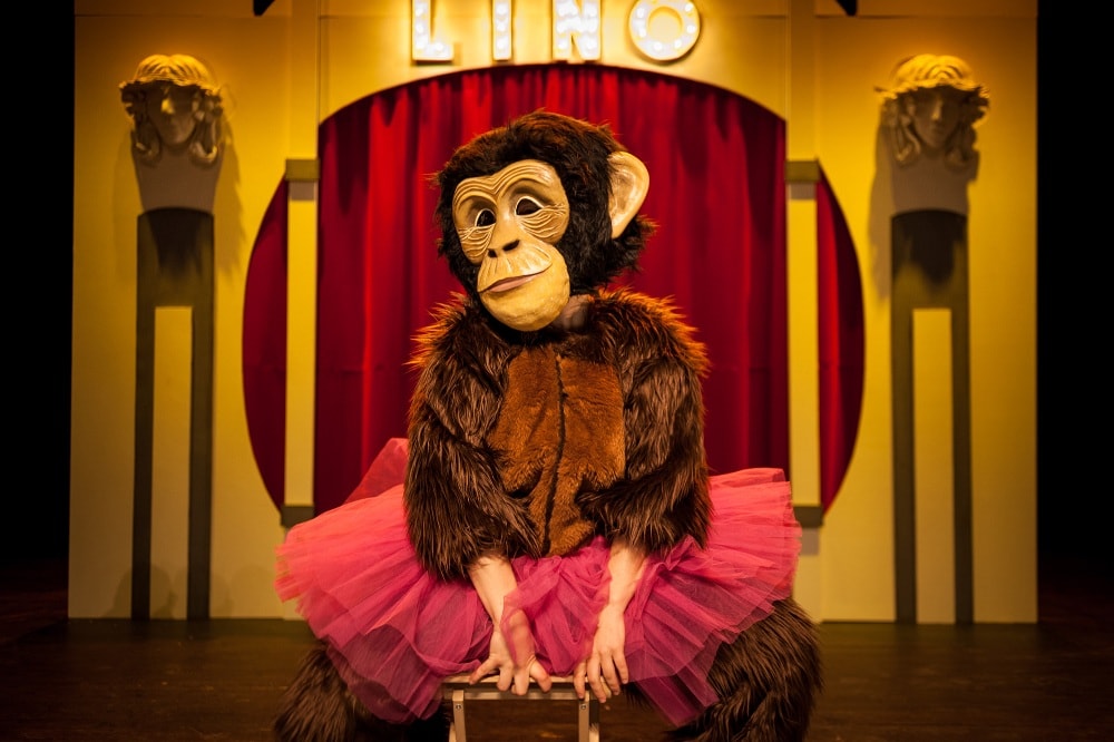 Pavillón Lino, espectáculo infantil en el teatro principal de Pontevedra