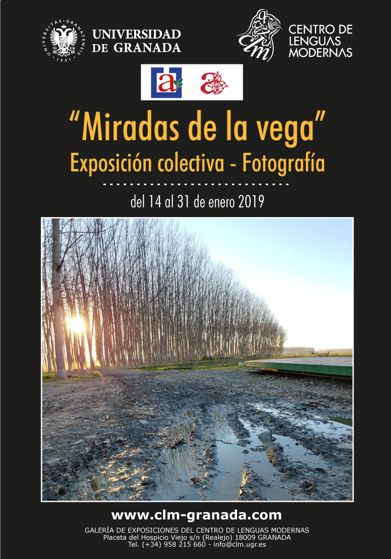 Exposición colectiva, Miradas de La Vega