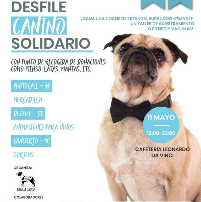Desfile solidario canino en la Universidad de Vigo
