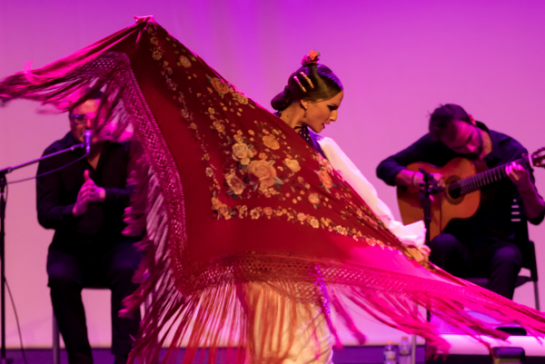 ‘Habla la Tierra’  Flamenco en Guadalupe