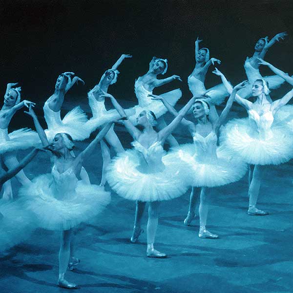 El Lago de los Cisnes, ballet en Vilagarcía de Arousa