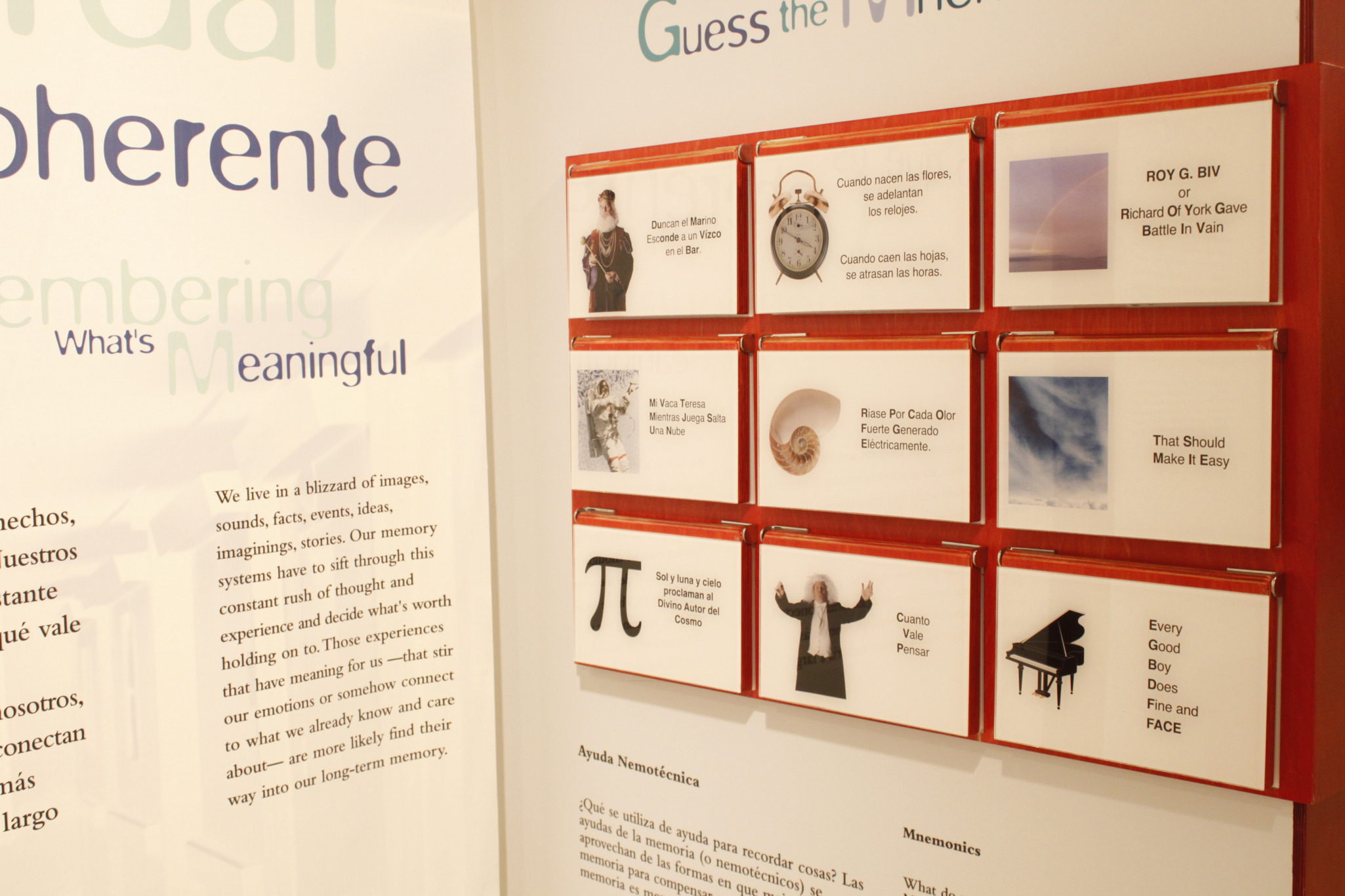 Nueva Exposición temporal `Memoria´ en el Museo de la Ciencia