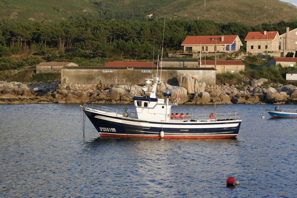 Experiencias marineras Galicia pulpo