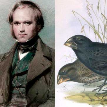 Darwin, una mirada que cambió el mundo en Museo Nacional de Ciencias Naturales en Madrid