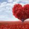 San Valentín Burgos 2020: planes para salir con tu pareja