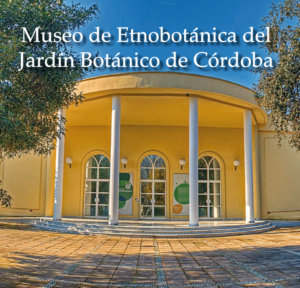 Plaza del Museo de Etnobotánica