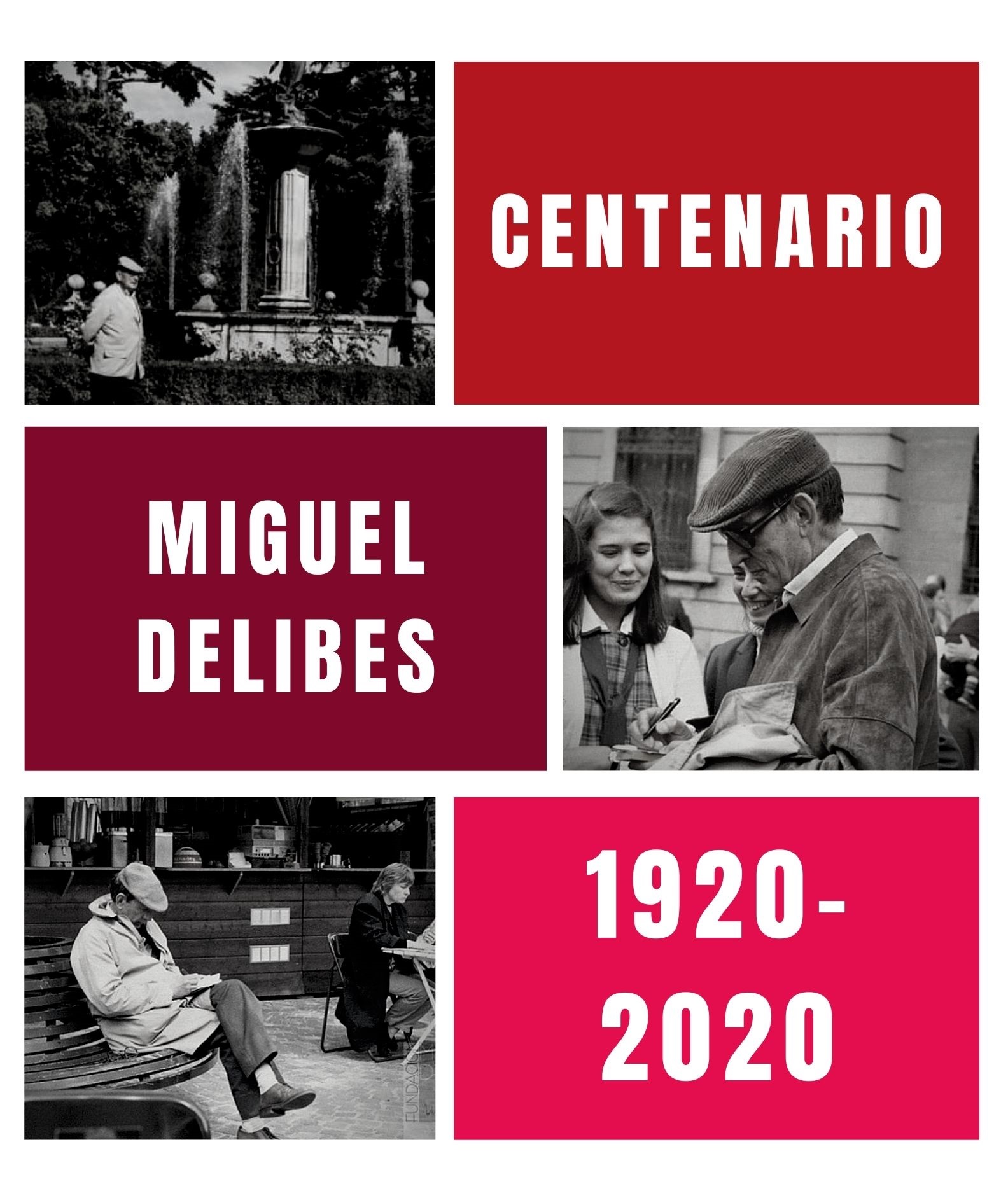 Centenario Miguel Delibes