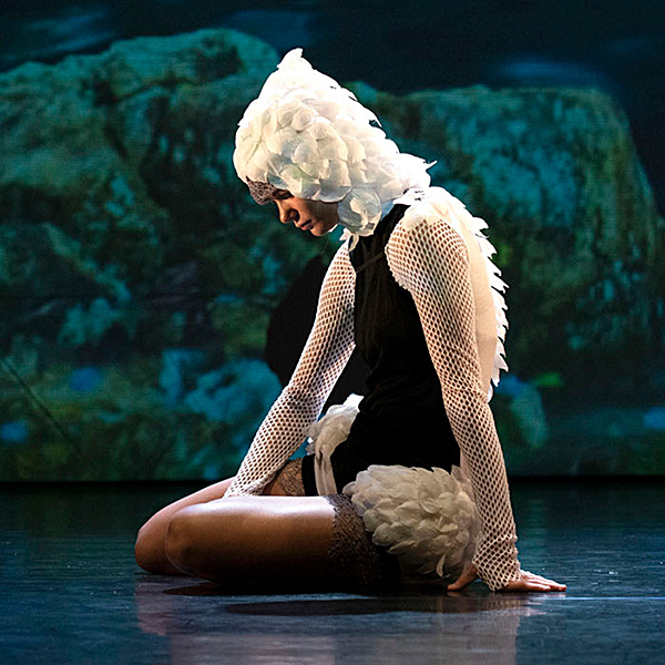 El Lago de los Cisnes 3D en Teatro San Francisco en Cádiz