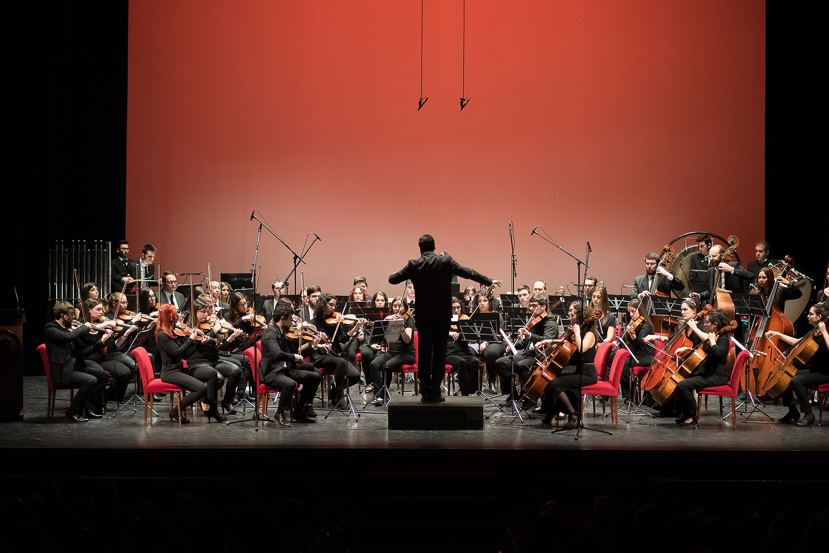 Concierto de Año Nuevo: La Orquesta Sinfónica de Jóvenes «Ciudad de Murcia» llega al Villa de Molina