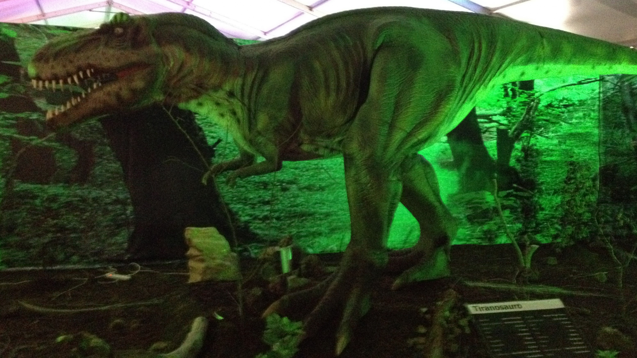 El Deusto Expo Center acoge la exposición Dinosaurs World