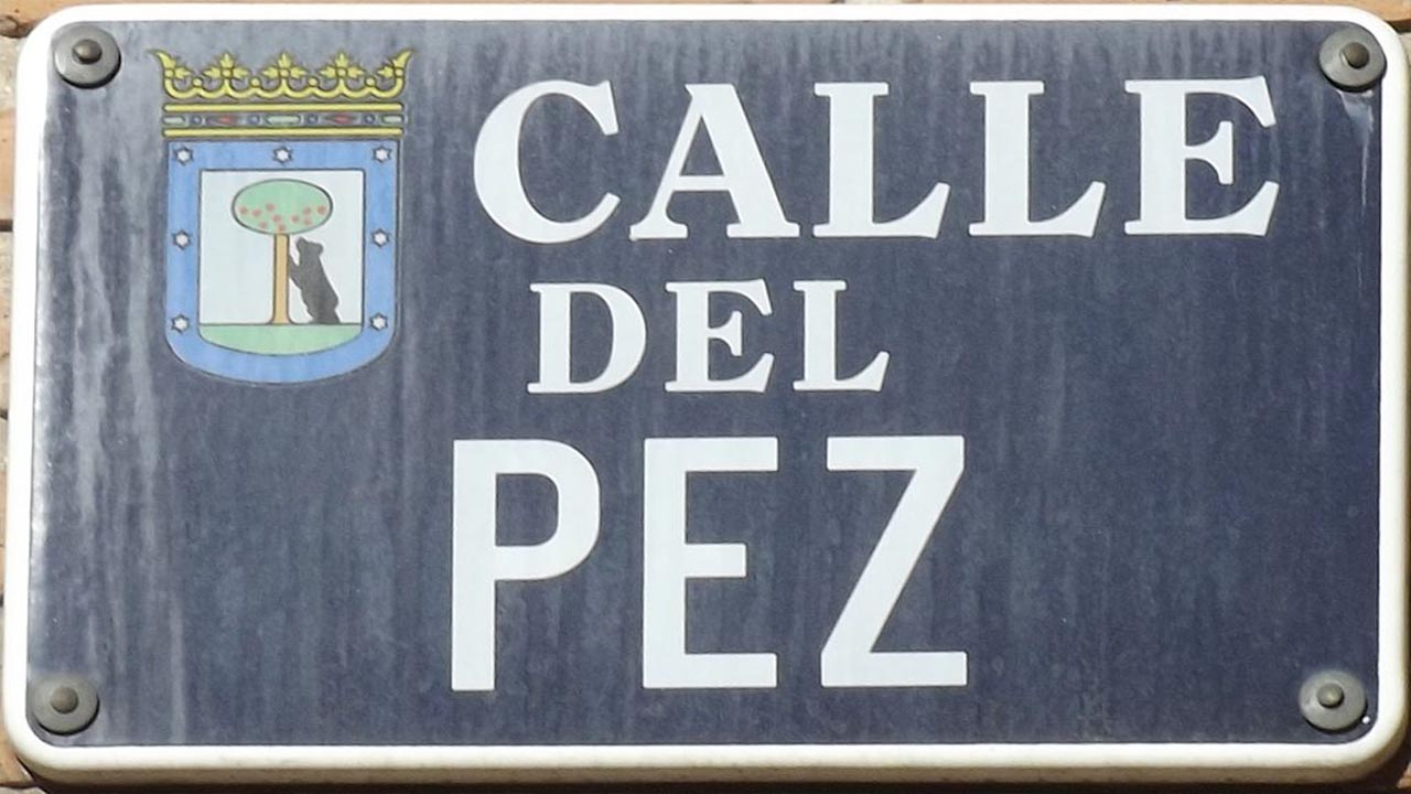 Calle del Pez