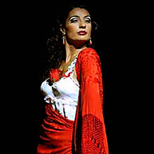 carmen ballet flamenco de madrid