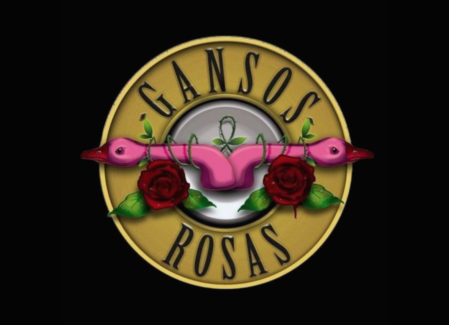 Gansos Rosas concierto Coruna